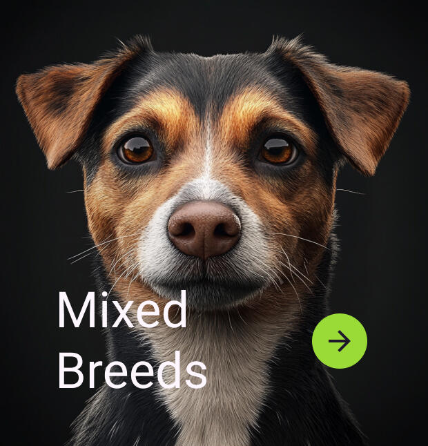 shop mixed breeds